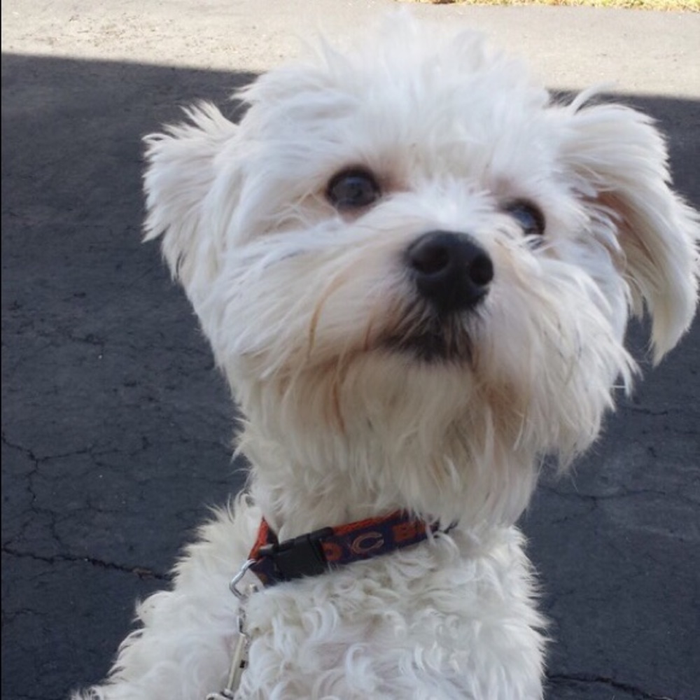 Meet your Posher, Samanthia